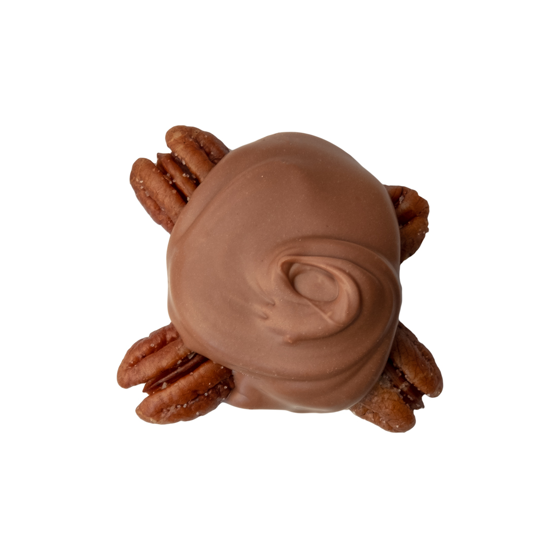 Milk Chocolate Tortue