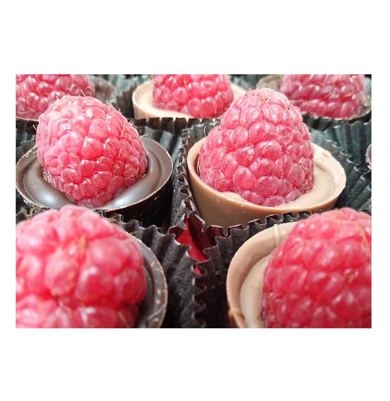 Chocolate raspberry cups